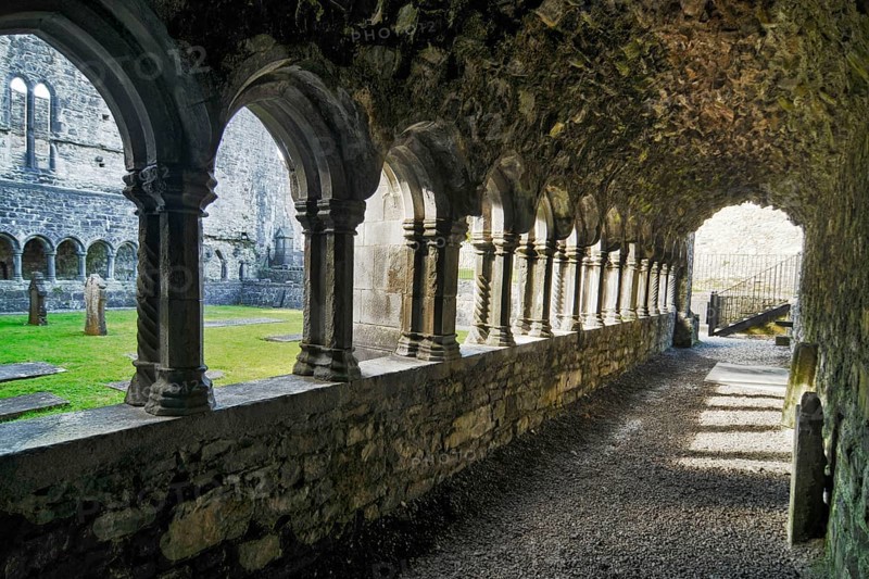 Sligo Abbey, Sligo, County Sligo, Sligo Abbey, Dominican Monastery, Ireland, Europe