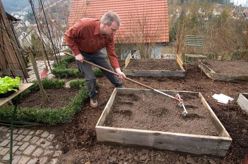 Cold frame, manure bed, earth is raked, rake