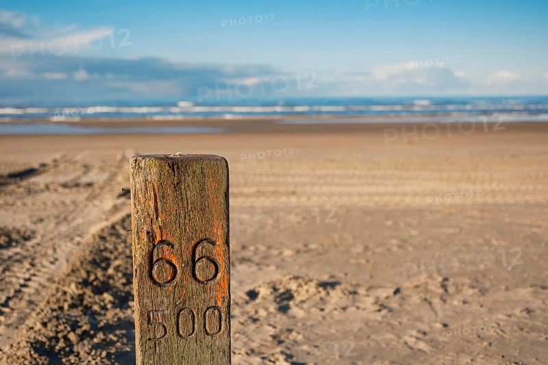Wooden pile on the North Sea, sandy beach, Zandvoort, Netherlands
