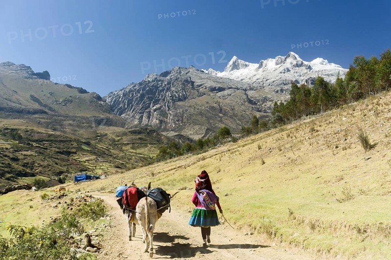 Indio donkey driver carrying climbing expedition material in Peru to a remote base camp in the Cordillera Blanca