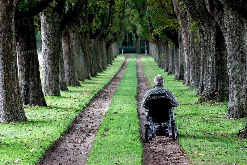 Wheelchair user in an avenue, Varel, district of Friesland, Lower Saxony