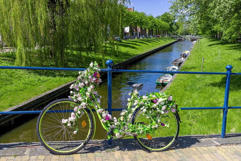 Decorated bicycle in Friedrichstadt Grachten, Friedrichstadt, North Frisia, Schleswig-Holstein, Germany, Europe