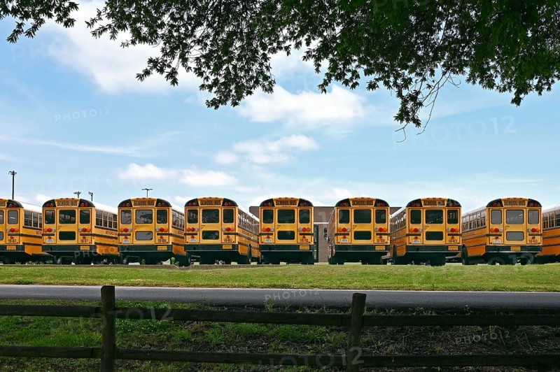 School buses in a car park, Nashville, Tennessee, United States of America