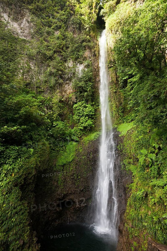 Middleham Falls Waterfall, Morne Trois Pitons National Park, Lesser Antilles, Leeward Islands, Dominica, Central America