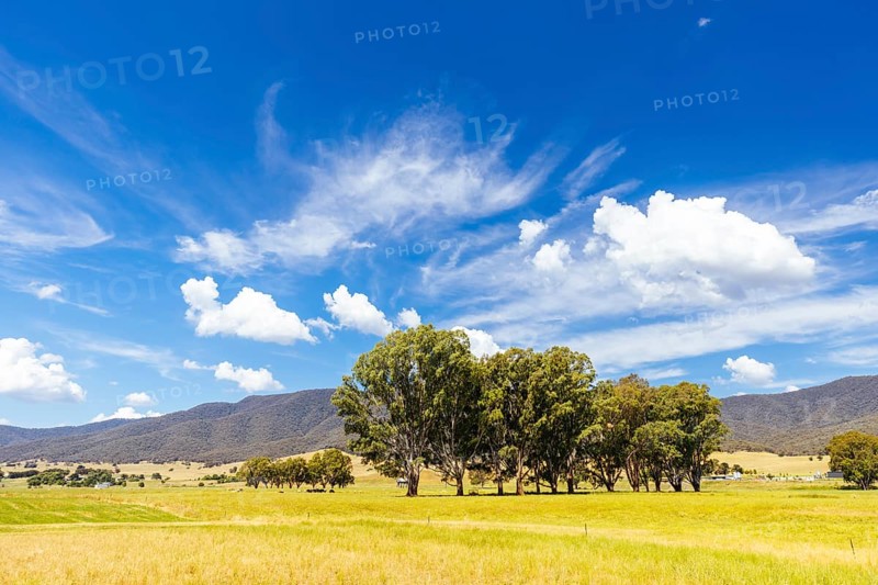 Landscape during summer around the Kiewa River at Keegans Bridge and Streamside Reserve in the Ovens Valley near Mt Beauty in Victoria, Australia, Oceania
