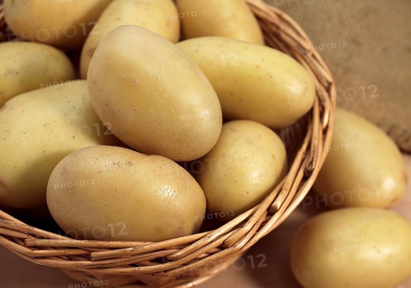 Mona Lisa Potato (Solanum tuberosum), Vegetables in Basket