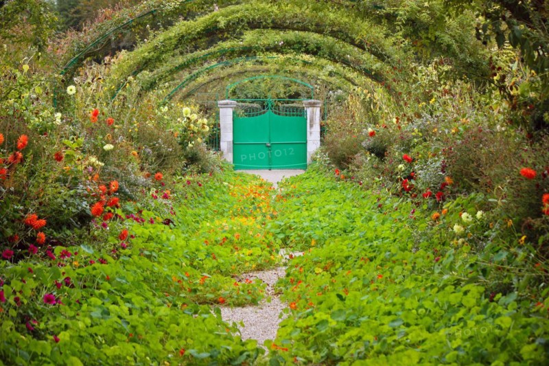 Monet's garden in Giverny, France, Monet's garden in Giverny, France, Europe