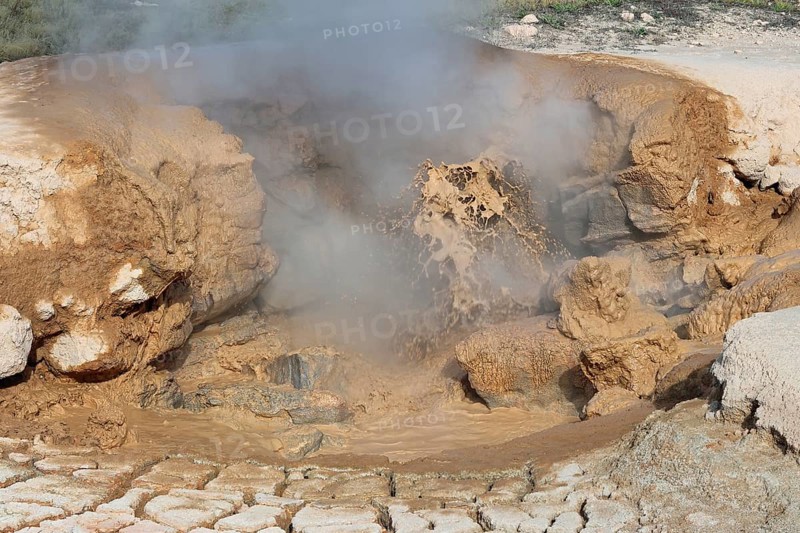 Mud volcano, Lower Geyser Basin, Yellowstone NP, USA, North America