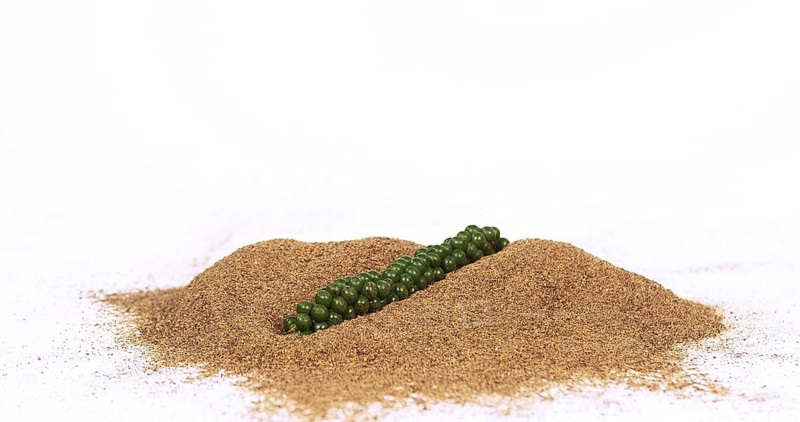 Fresh green pepper (piper nigrum), spice falling in pepper ground on white background
