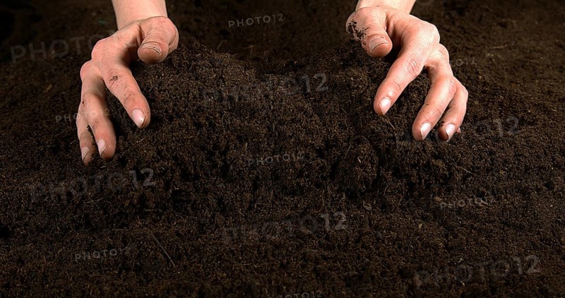 Handful of Soil