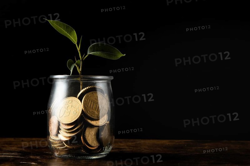 Front view plant growing from jar with coins copy space. High resolution photo