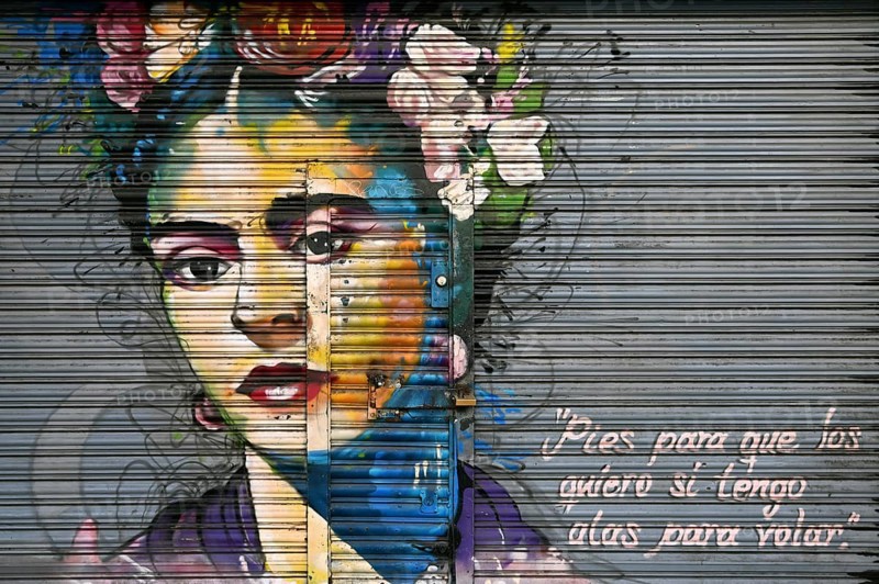 Frida Kahlo portrait on a garage door, Coyoacan, Mexico City