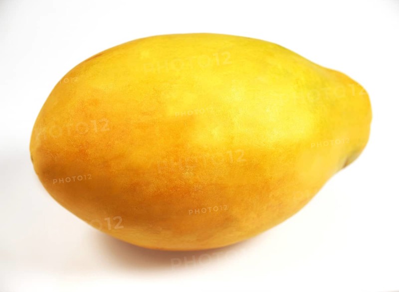 PAW PAW OR PAPAYA (carica papaya) FRUIT ON WHITE BACKGROUND
