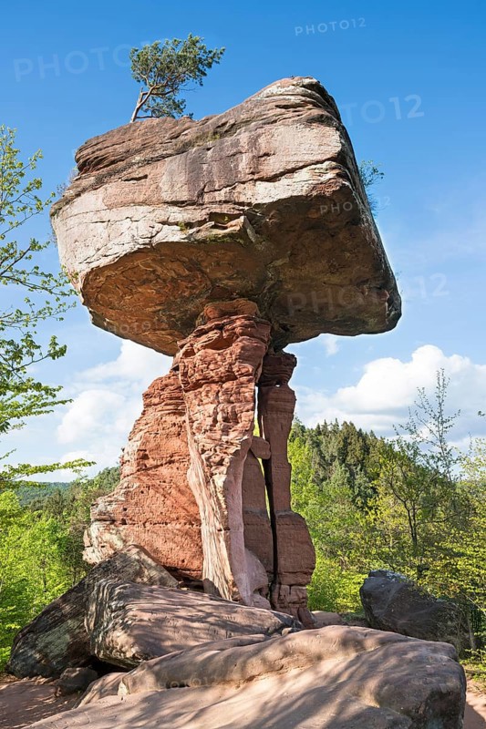 Spring at the Teufelstisch, rock formation, Palatinate Forest, Hinterweidenthal, Wasgau, Rhineland-Palatinate, Germany, Europe