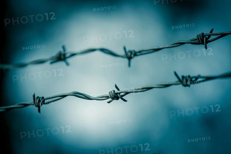 Barbed wire on a metal fence to demarcate the border, closeup, blurry background