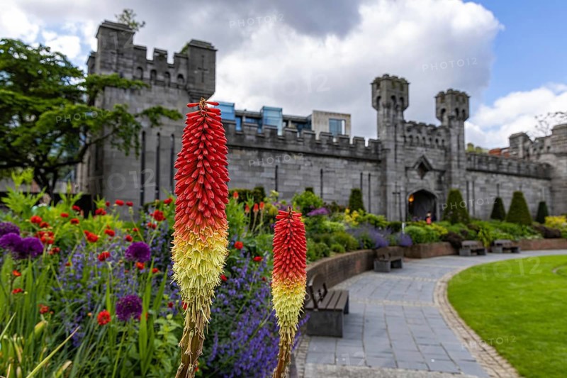 Castle Dublin, Dublin, Ireland, Europe