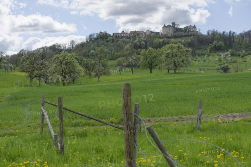 View of the old town and the castle, Waldenburg, Waldenburg mountains, spring, April, Hohenlohe, Heilbronn-Franken, Baden-Württemberg, Germany, Europe