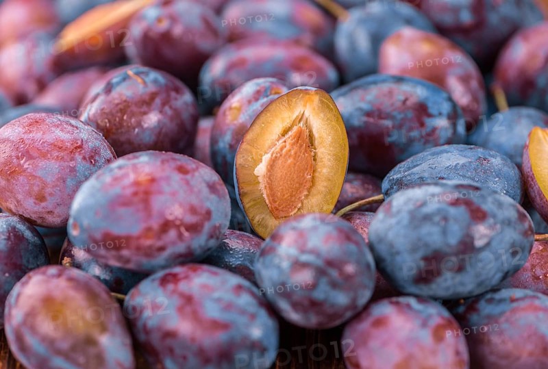 Portion of fresh Plums close-up shot, selective focus