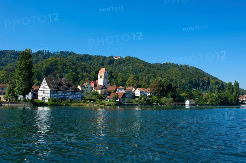Bodman am Lake Constance, Baden-Württemberg, Germany, Europe
