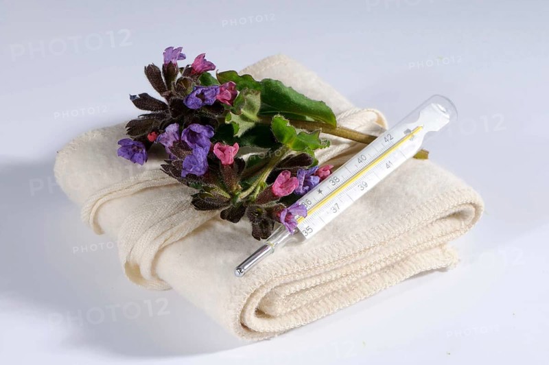 Common lungwort (Pulmonaria officinalis), clinical thermometer, mercury thermometer