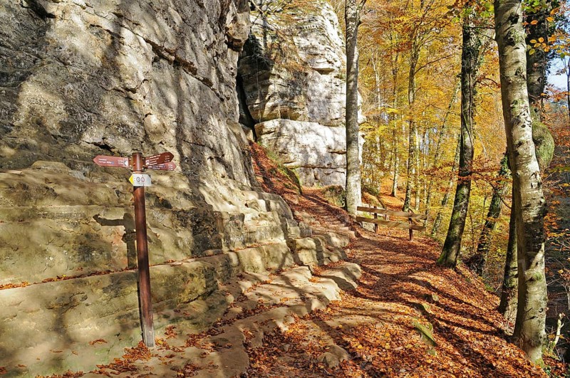 Hiking trail, Hiking area, Mullerthal, Little Luxembourg Switzerland, Municipality of Mullerthal, Luxembourg, Europe