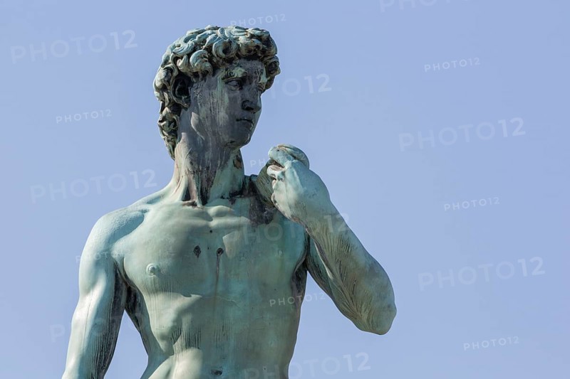 Statue of David, located in Micheal Angelo Park Florence, Italy, Europe
