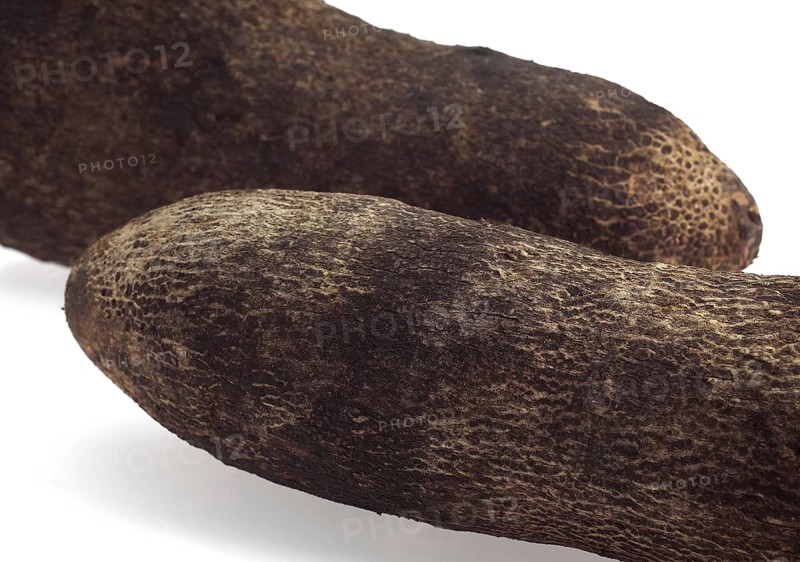 Yam (dioscorea) against White Background
