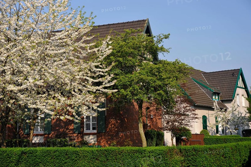 Meerbeck Colony, former Bergarbieter Settlement, Moers, Ruhr Area, North Rhine-Westphalia, Germany, Europe