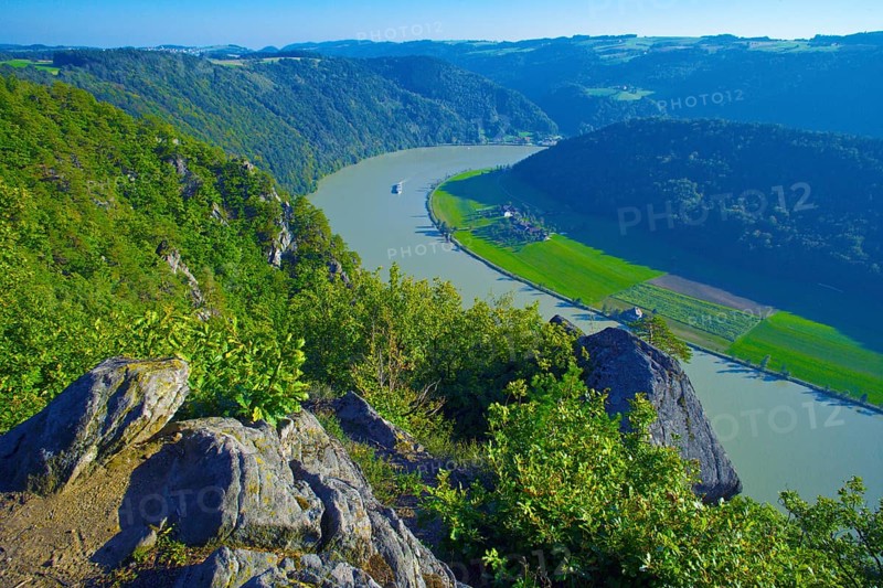 Schlögener Schleife of the Danube, view from Steinerner Felsen near Mannsdorf, Upper Austria, Schlögener Schleife, Austria, Europe