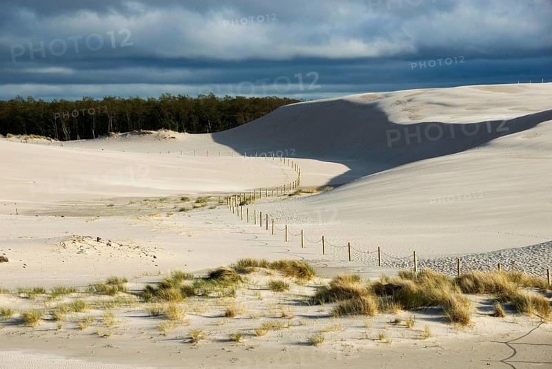 Travelling Dune, Slowinski, Slowinski National Park, Leba, Pomerania, Poland, Europe