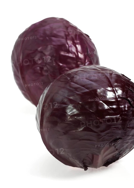 Red Cabbage (brassica) oleracea, Vegetable against White Background