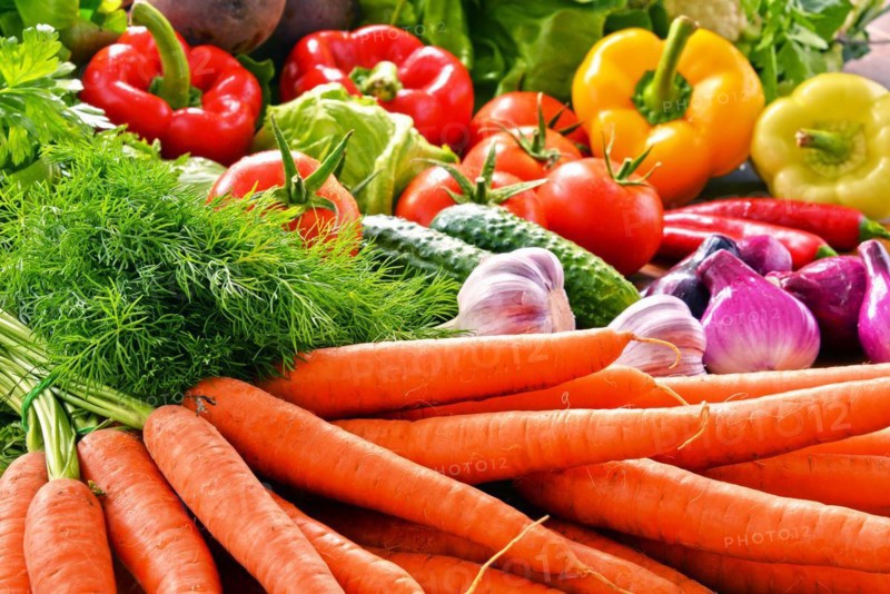 Composition with variety of fresh organic vegetables