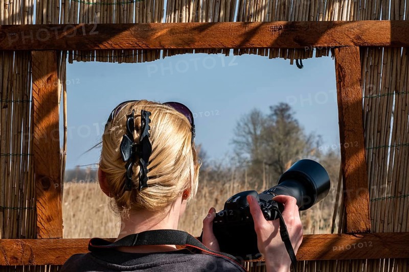 Nature photography photography from the observation stand