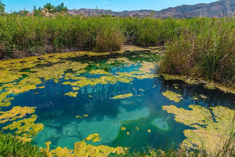 Groundwater in the wetland of the Ojos del Pontil natural park in Rueda de Jalon. Valdejalon. Zaragoza. Aragon
