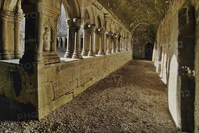 Cloister, Askeaton Abbey, former Franciscan monastery, County Limerick, Ireland, Europe