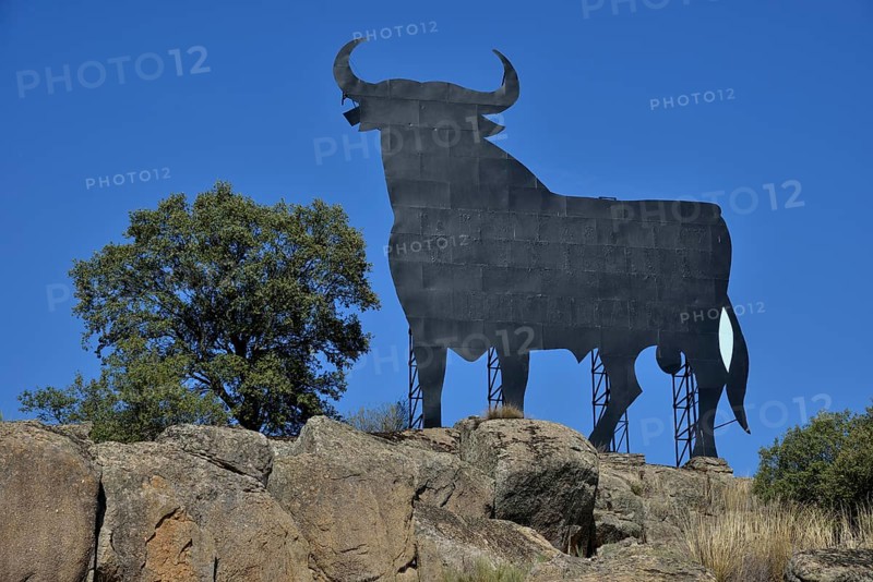 Osborne bull, Toro de Osborne, Trujillo, Provinz Cáceres, Extremadura, Spain, Europe