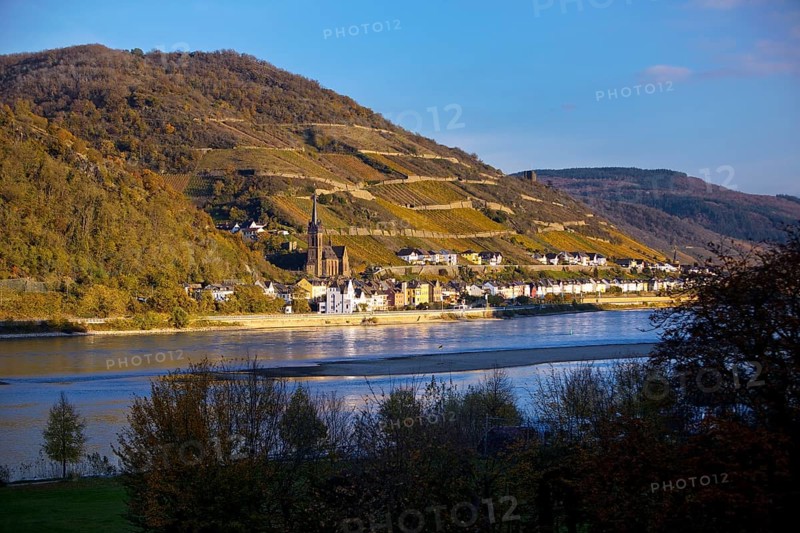 View across the Rhine in the late evening light from Bacharach to Lorch with the parish church of St Martin, UNESCO World Heritage Upper Middle Rhine Valley, Hesse, Germany, Europe
