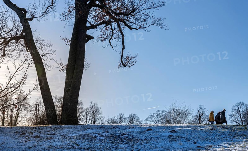 Park Babelsberg, winter impressions, Potsdam, Brandenburg, Germany, Europe
