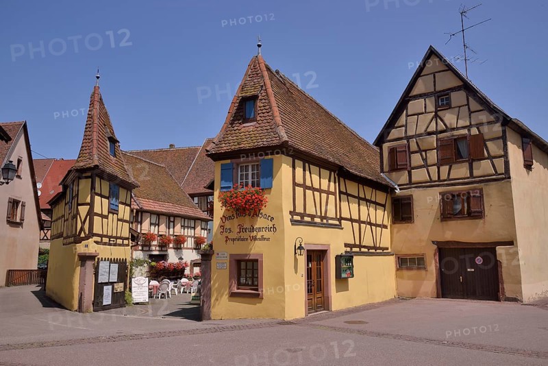 "Freudenreich" winery in Eguisheim, named favorite village of the French in 2013, Le Village Préféré, Eguisheim, Département Haut-Rhin, Alsace, France, Europe