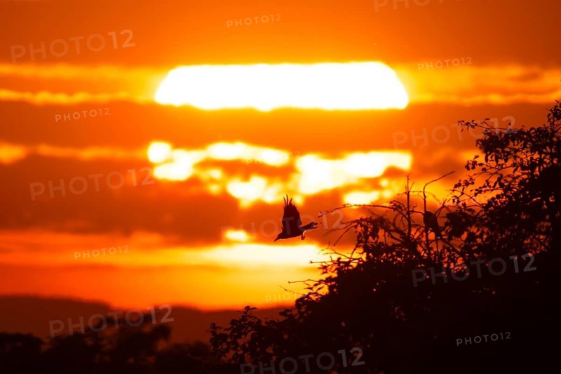 The sun rises behind a band of clouds, Frankfurt am Main, Hesse, Germany, Europe