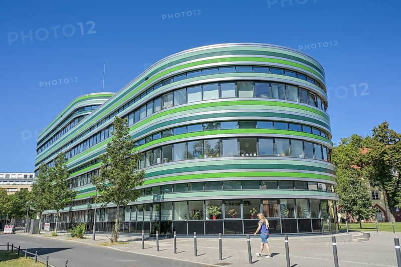 Green Amoeba, Humboldt University, Institute of Biology of the Faculty of Life Sciences, Rhoda-Erdmann-Haus, Philippstraße, Mitte, Berlin, Germany, Europe