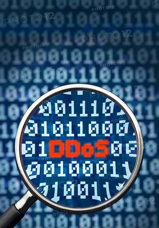 DDoS, attack, DoS, cyberspace, server, DDoS attack, denial of service, overload, data network, PC, hacker, network, data, danger, computer, calculator, viruses, Trojan, virus, computer virus, scan, botnets, bots, advice, help, 01, magnifying glass, search, find