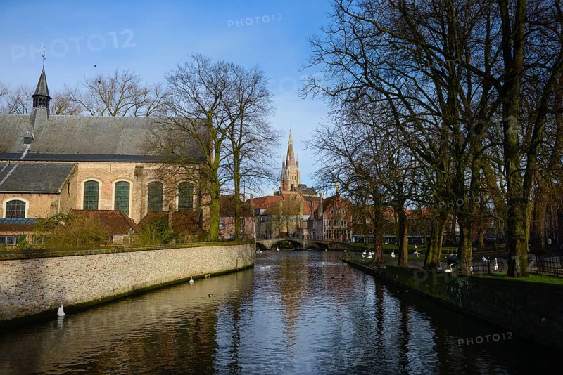View of canal and Church of Our Lady from Begijnhof, Brugge, Belgium, Europe