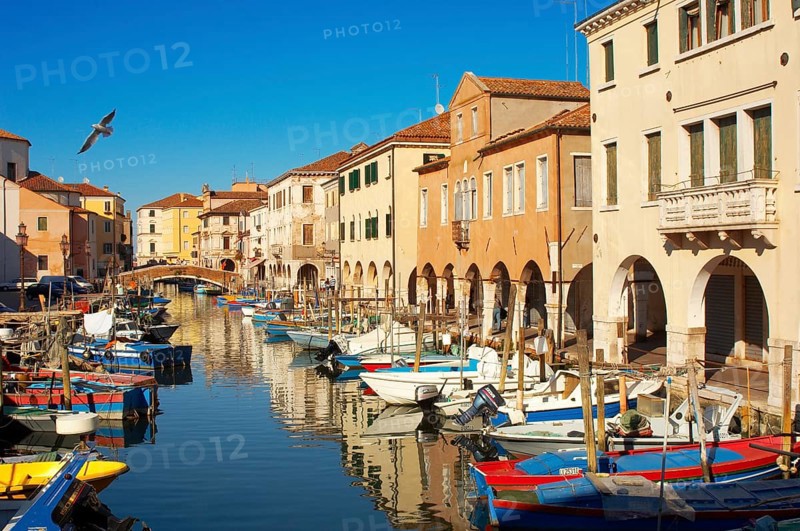 Fishing Boats on Riva Vena canal - Chioggia - Venice - Italy, Chioggia, Veneto Region, Italy, Europe