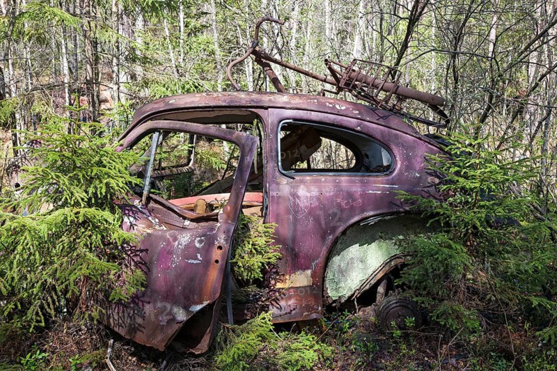 Old car wreck in the car cemetery of Kyrkoe Mosse, Ryd, Tingsryd, Kronoberg County, Sweden, Europe