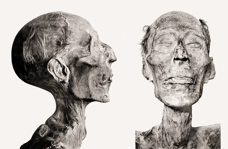Mummy of Ramses II