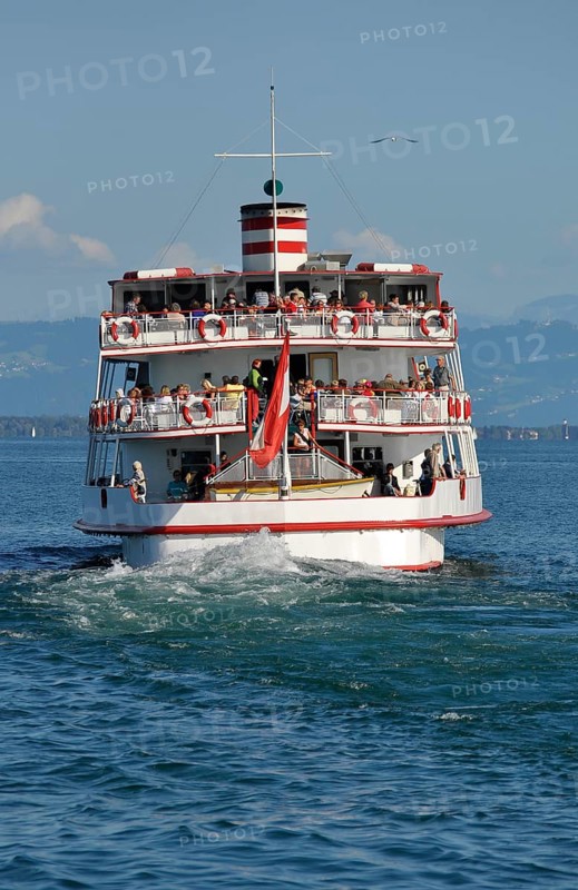 On Lake Constance, Lake Constance shipping, sailing boats, near Immenstaad, passenger ship: Austria, view of the Alps, tree trunk on the beach