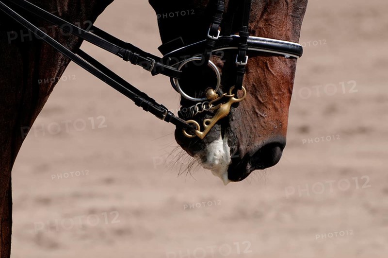 Dressage, dressage riding, mouth, dressage curb bit, English noseband, foam, lateral
