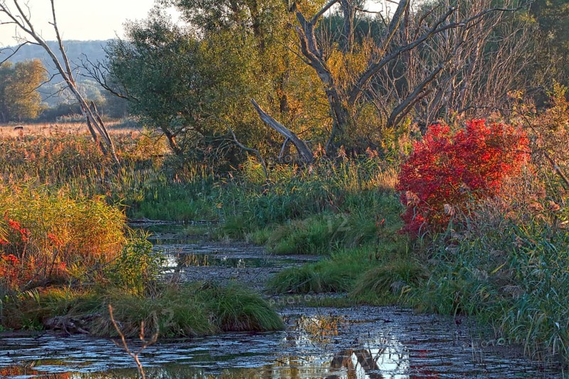 Lower Oder Valley National Park