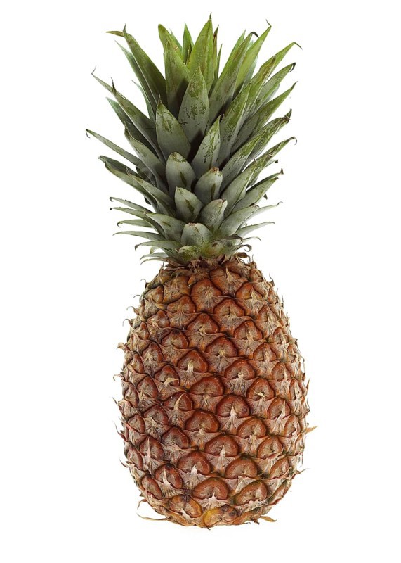 Pineapple (ananas comosus), Fruit against White Background